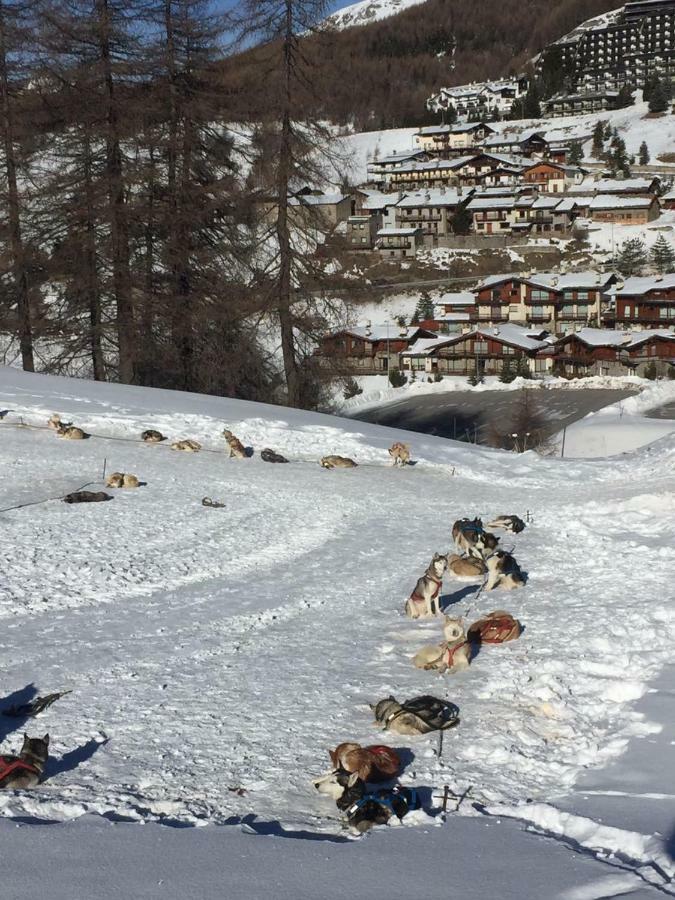 Appartamento Royal Colle Colle Sestriere Esterno foto
